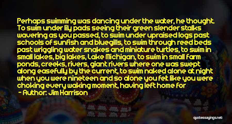 Michigan Lakes Quotes By Jim Harrison