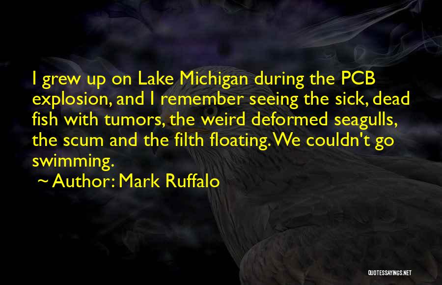 Michigan Lakes Quotes By Mark Ruffalo