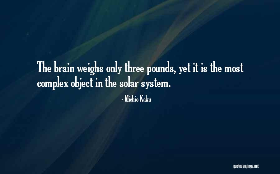 Michio Kaku Quotes 495550