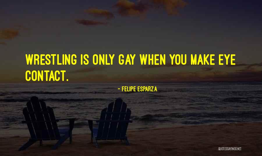 Michiya Tanimoto Quotes By Felipe Esparza Michiya Tanimoto Quotes By Felipe Esparza