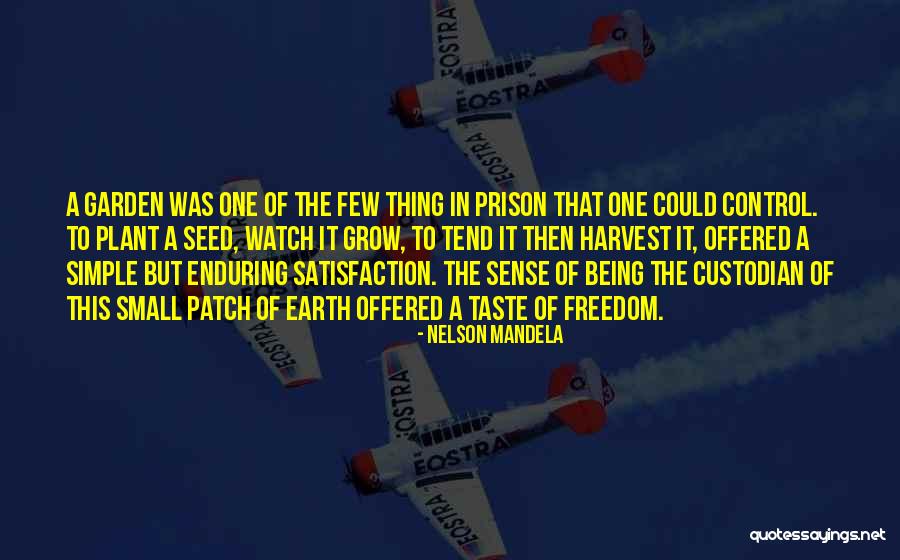 Micholas Sparks Quotes By Nelson Mandela Micholas Sparks Quotes By Nelson Mandela