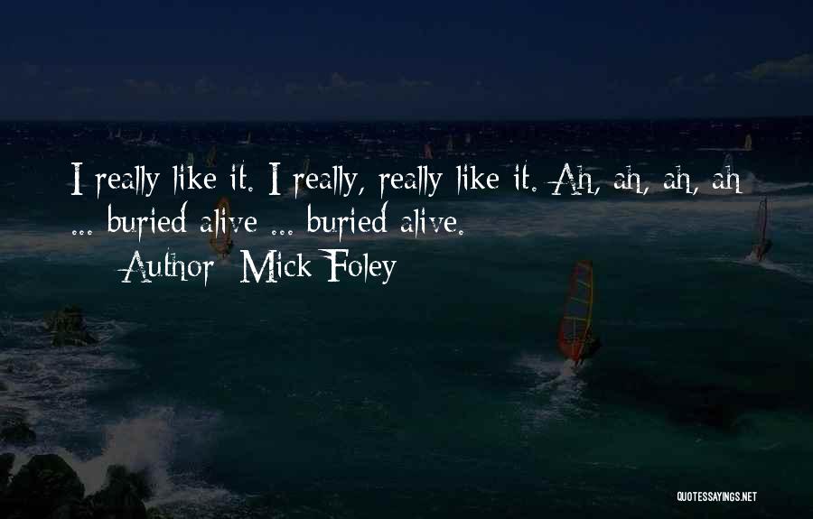 Mick Foley Funny Quotes By Mick Foley