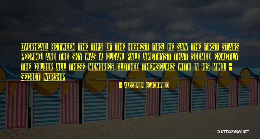 Mickenzie Brownlow Quotes By Algernon Blackwood Mickenzie Brownlow Quotes By Algernon Blackwood