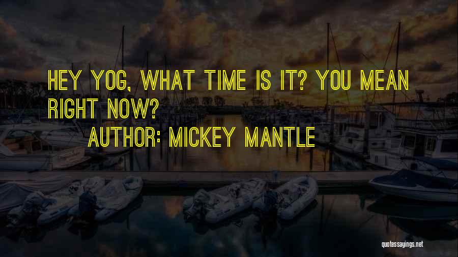 Mickey Mantle Quotes 1425572