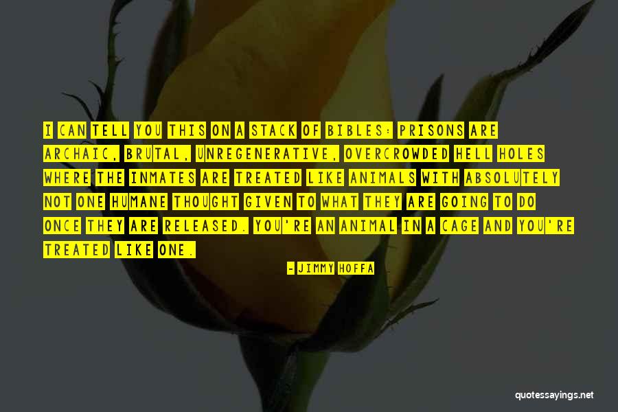 Micol Duncan Quotes By Jimmy Hoffa Micol Duncan Quotes By Jimmy Hoffa