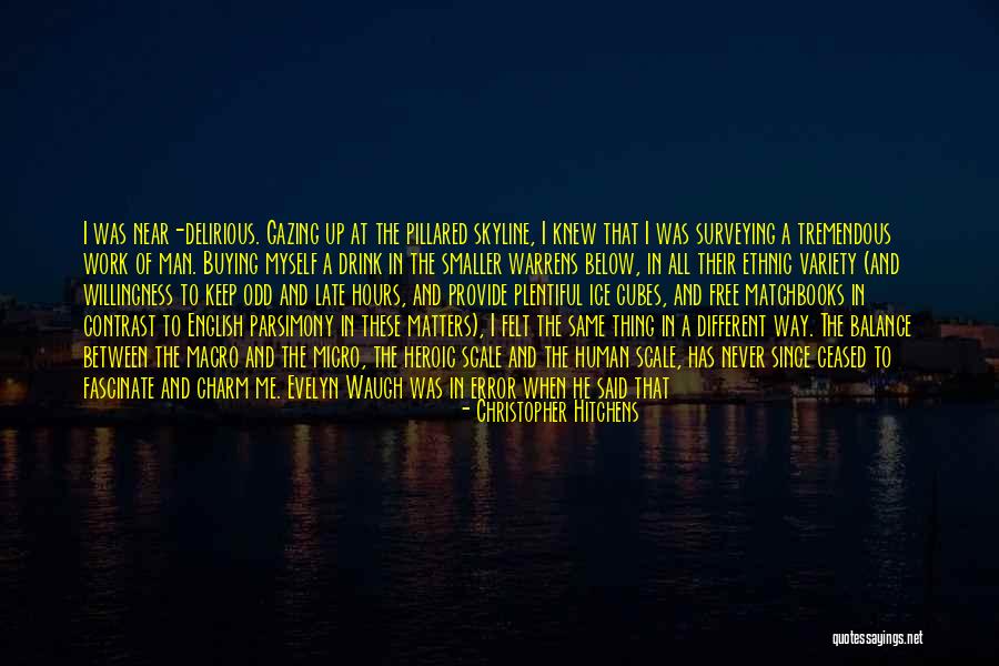 Micro Macro Quotes By Christopher Hitchens Micro Macro Quotes By Christopher Hitchens