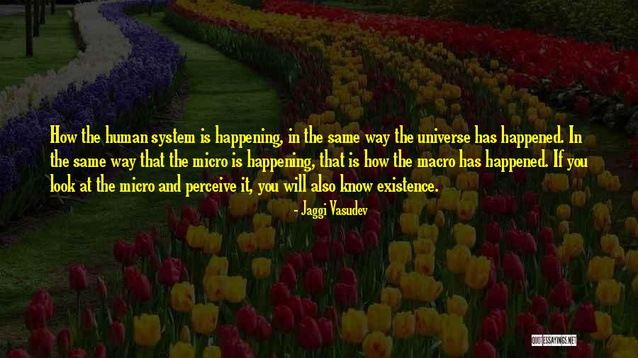 Micro Macro Quotes By Jaggi Vasudev Micro Macro Quotes By Jaggi Vasudev