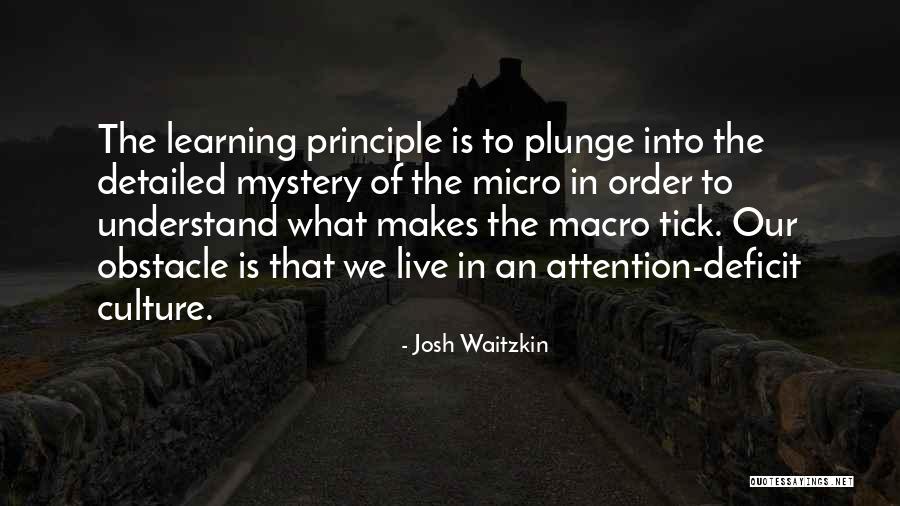 Micro Macro Quotes By Josh Waitzkin