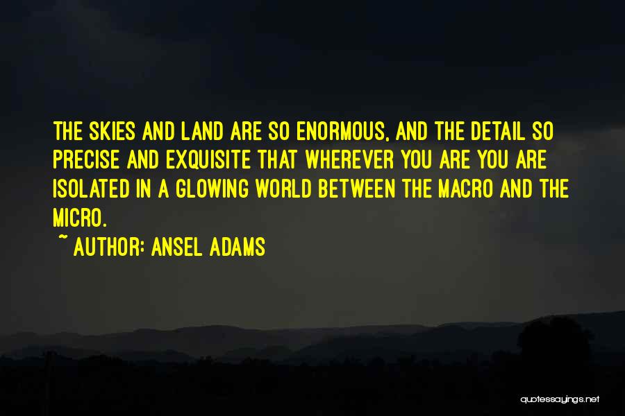 Micro Quotes By Ansel Adams