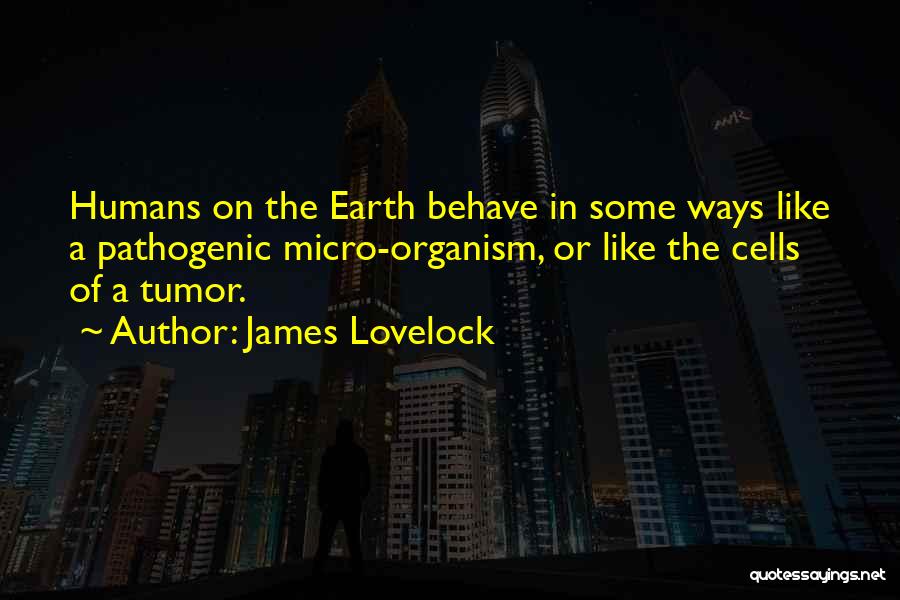 Micro Quotes By James Lovelock