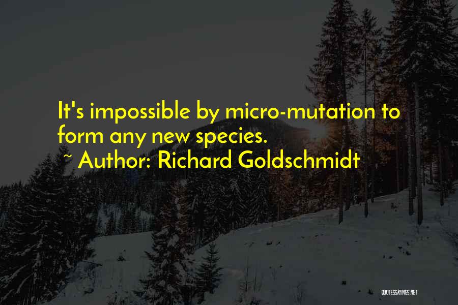 Micro Quotes By Richard Goldschmidt