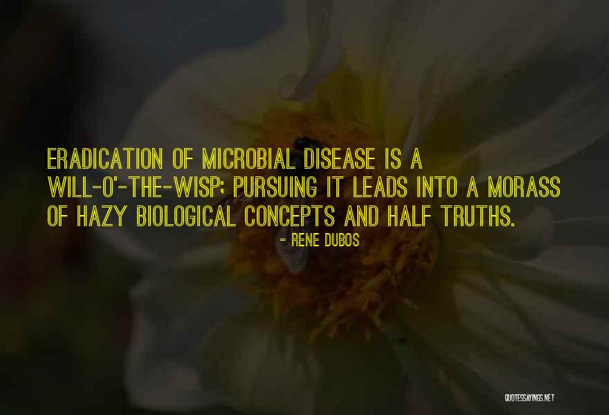 Microbial Quotes By Rene Dubos Microbial Quotes By Rene Dubos