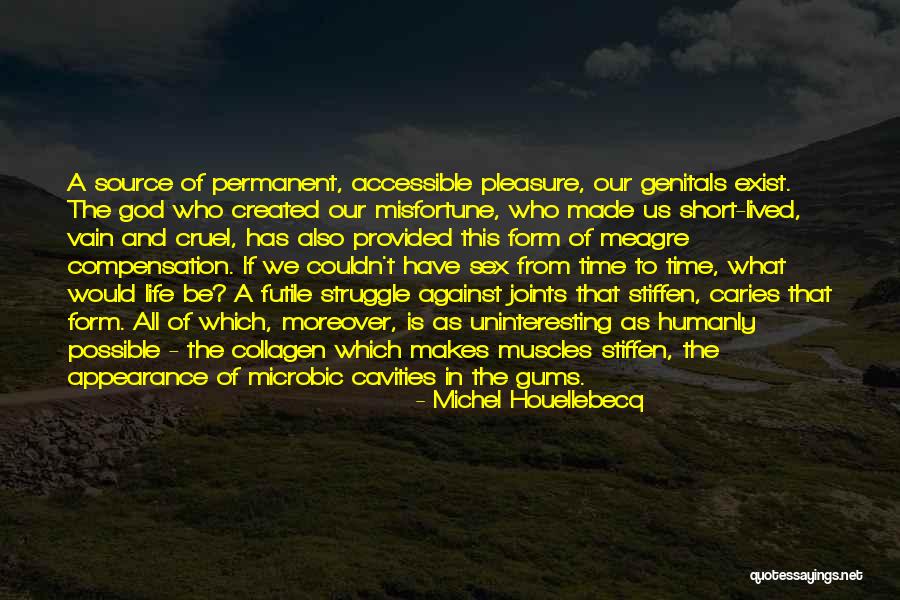 Microbic Quotes By Michel Houellebecq Microbic Quotes By Michel Houellebecq