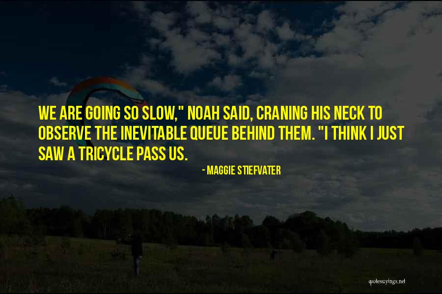 Microbiome Labs Quotes By Maggie Stiefvater Microbiome Labs Quotes By Maggie Stiefvater