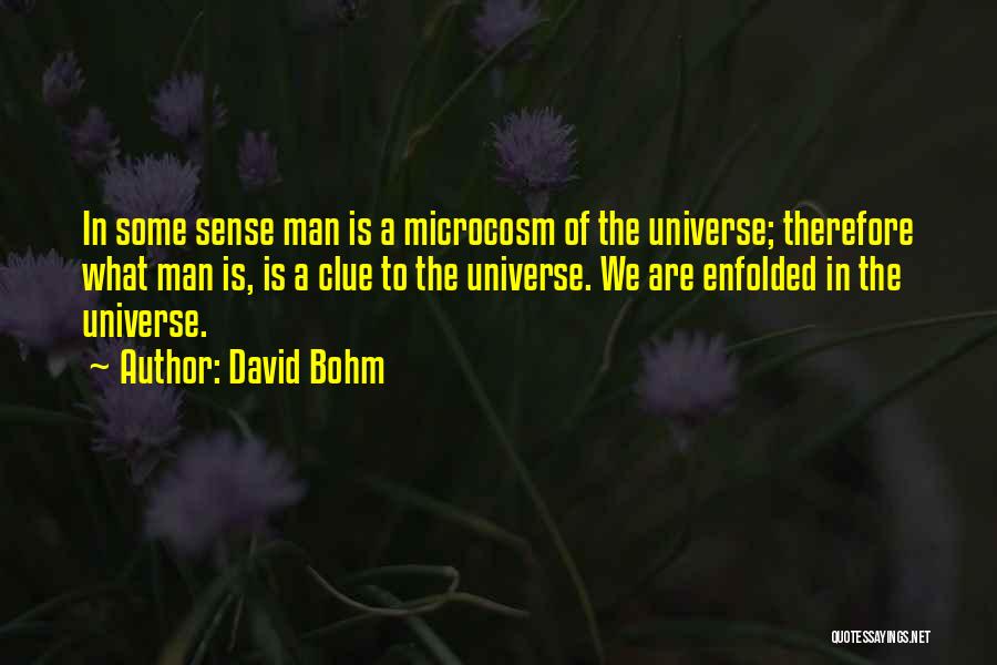 Microcosm Quotes By David Bohm