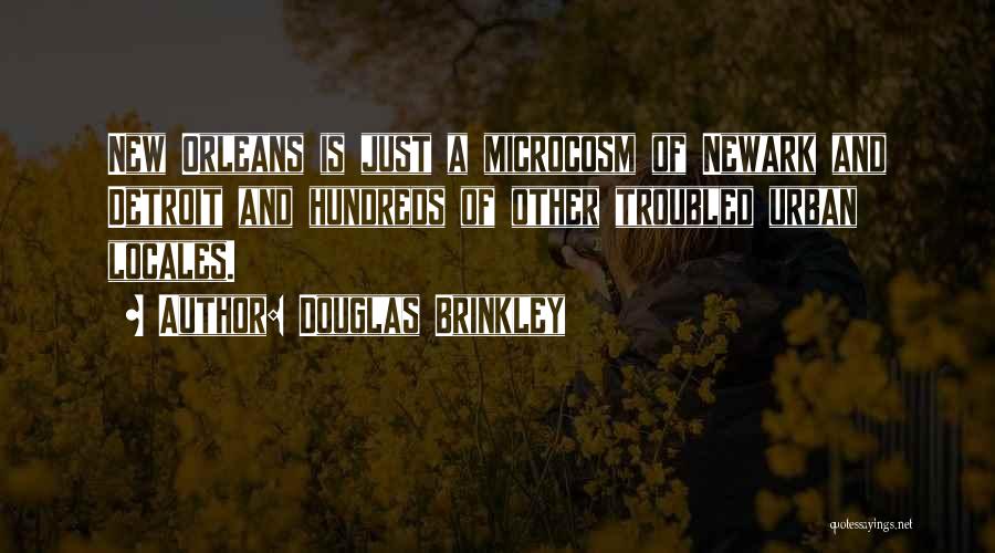 Microcosm Quotes By Douglas Brinkley