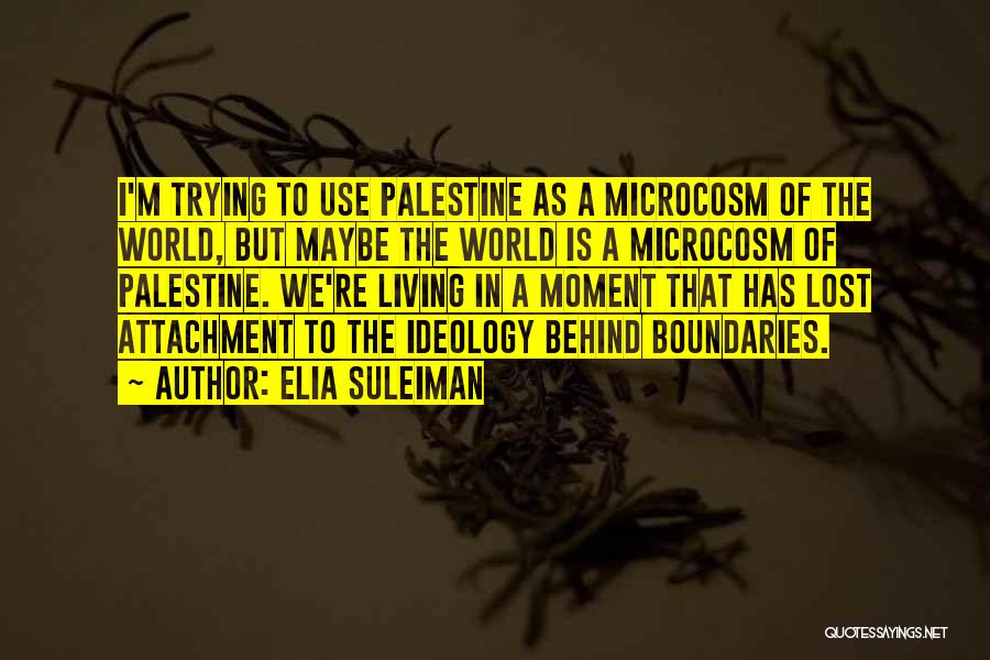 Microcosm Quotes By Elia Suleiman