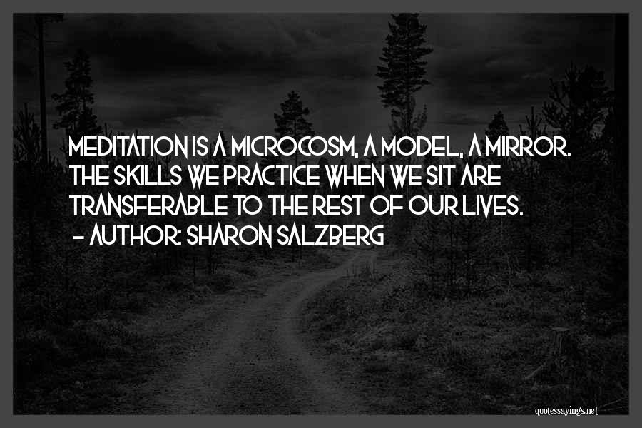 Microcosm Quotes By Sharon Salzberg