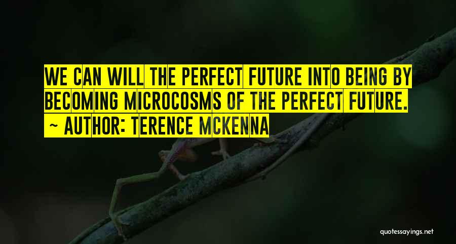 Microcosm Quotes By Terence McKenna