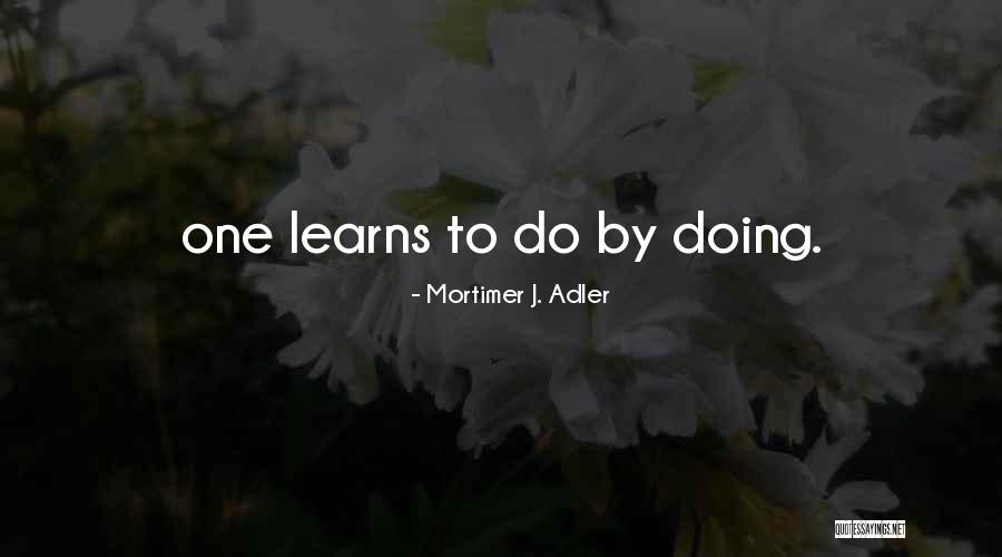 Microevolution Examples Quotes By Mortimer J. Adler
