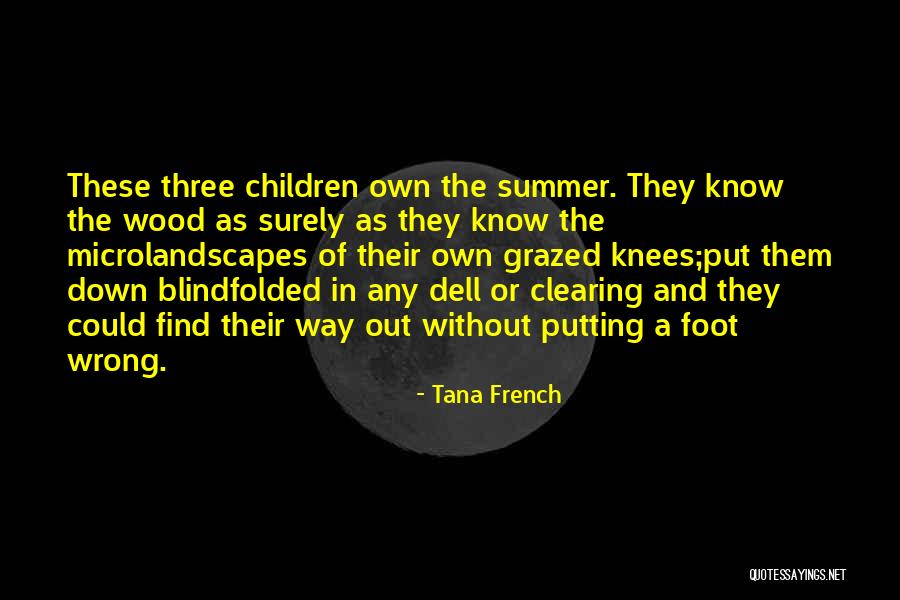 Microlandscapes Quotes By Tana French Microlandscapes Quotes By Tana French