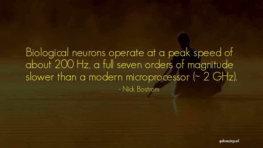 Microprocessor Quotes By Nick Bostrom