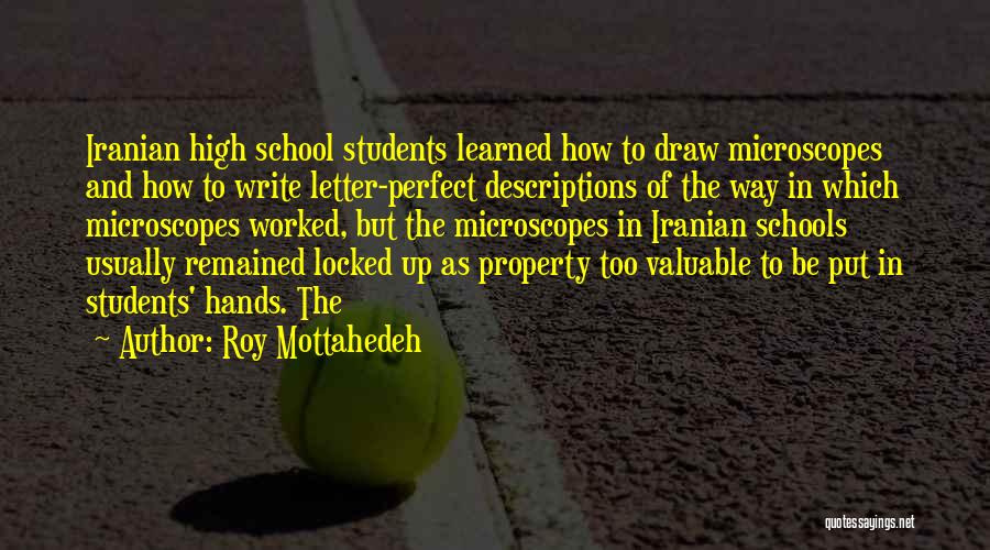 Microscopes Quotes By Roy Mottahedeh