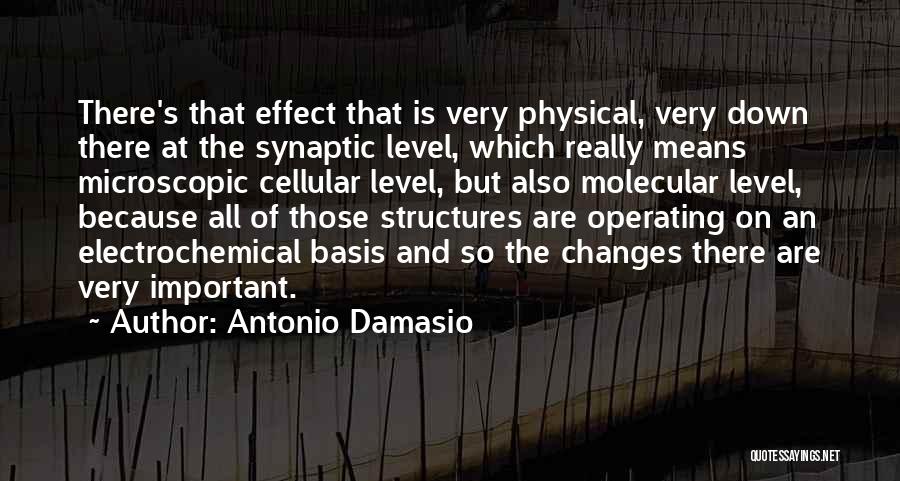 Microscopic Quotes By Antonio Damasio