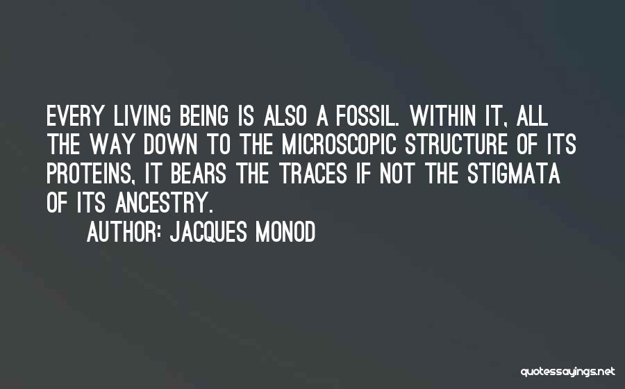 Microscopic Quotes By Jacques Monod