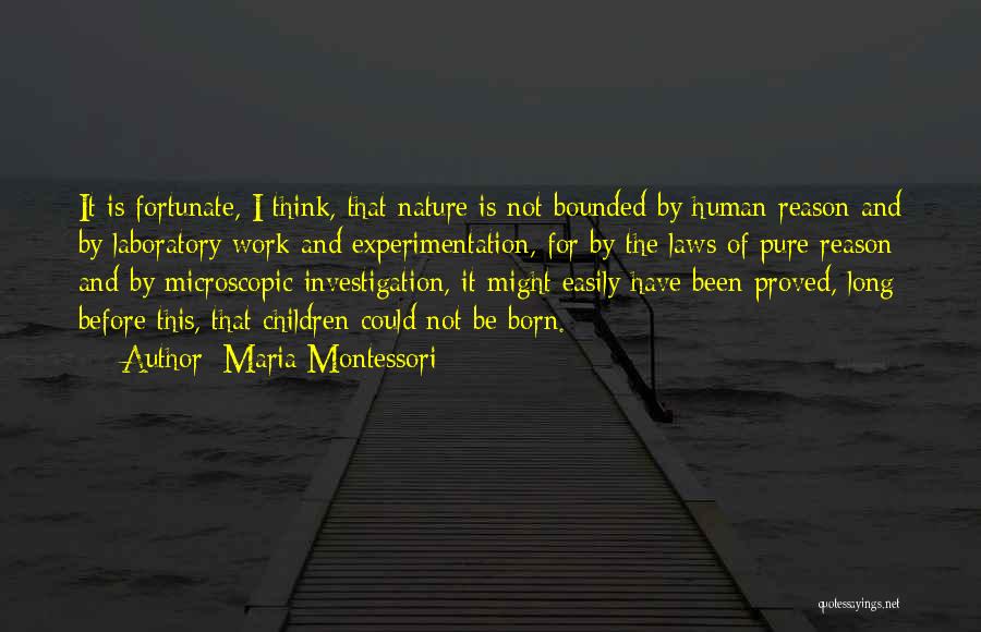 Microscopic Quotes By Maria Montessori