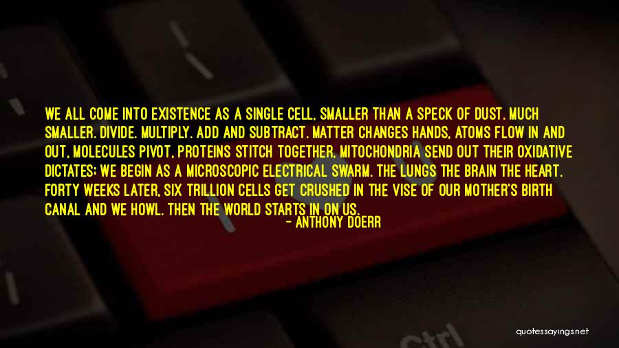 Microscopic World Quotes By Anthony Doerr