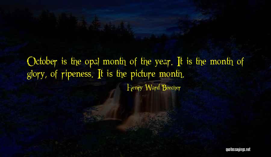 Microscopically Paring Quotes By Henry Ward Beecher Microscopically Paring Quotes By Henry Ward Beecher