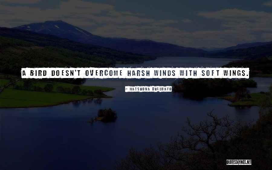 Microscopically Paring Quotes By Matshona Dhliwayo