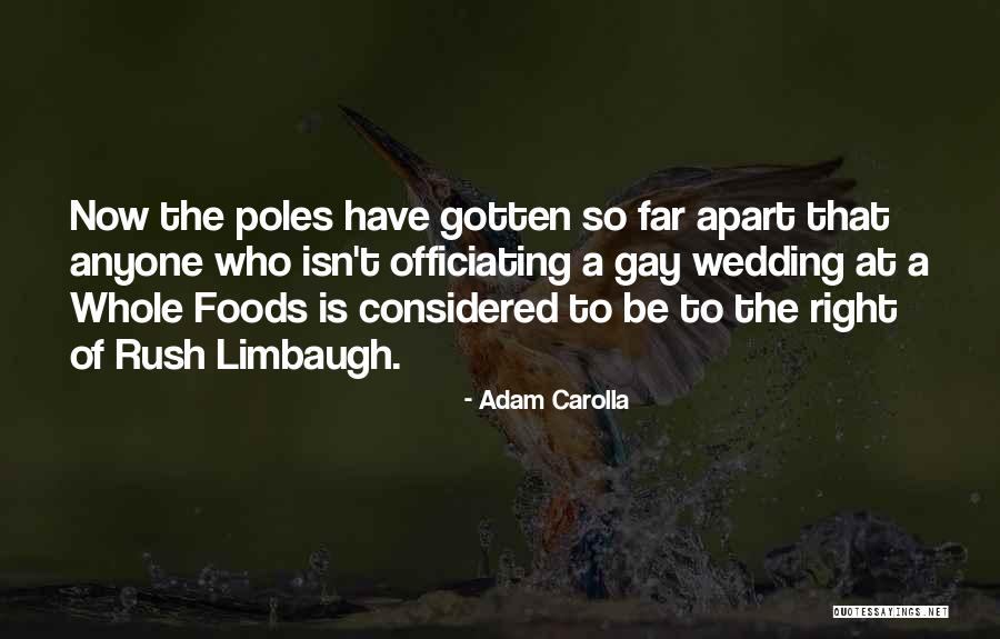 Microsystems Bitcoin Quotes By Adam Carolla Microsystems Bitcoin Quotes By Adam Carolla