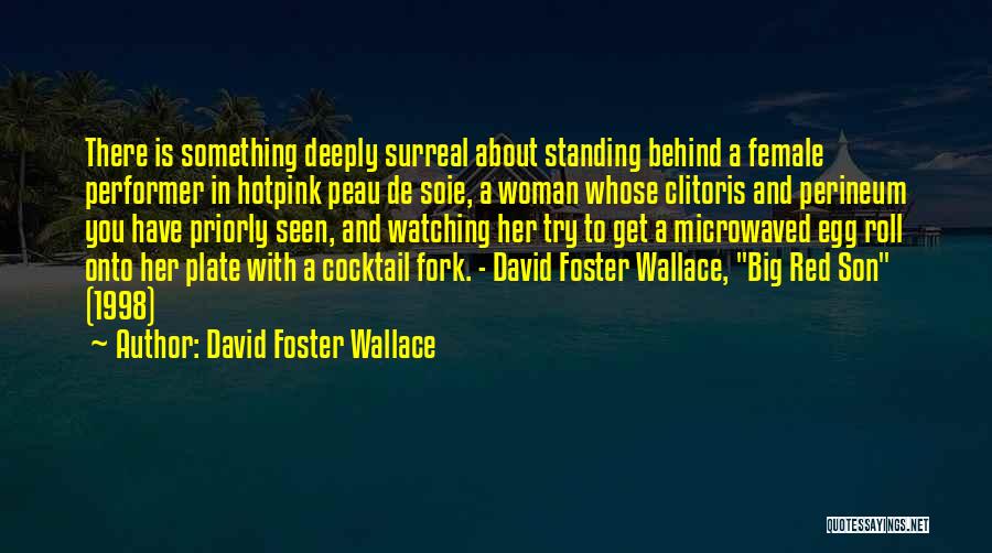 Microwaved Quotes By David Foster Wallace