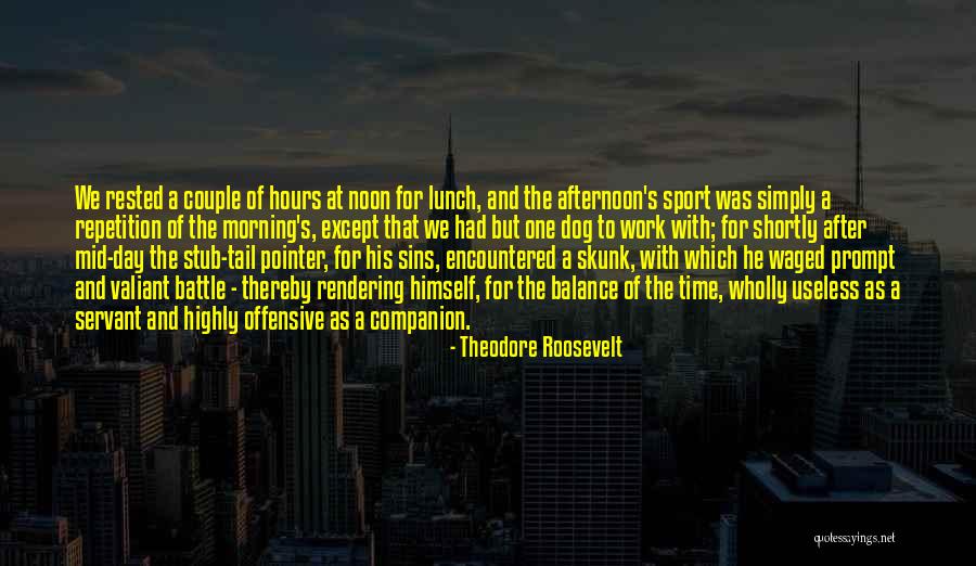 Mid Afternoon Quotes By Theodore Roosevelt