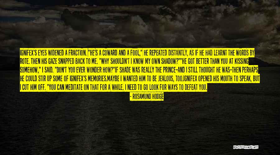 Mid Fifties American Quotes By Rosamund Hodge Mid Fifties American Quotes By Rosamund Hodge