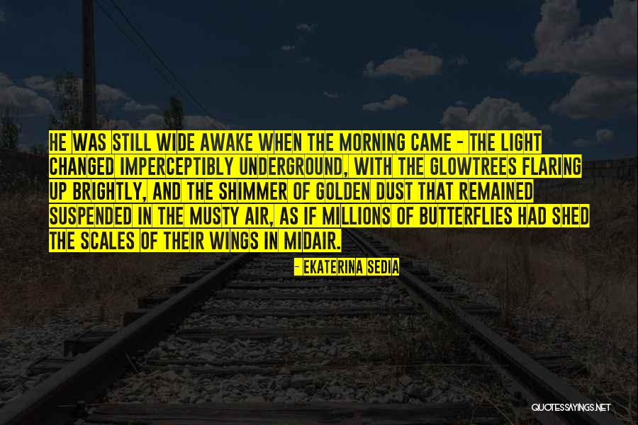 Midair Air Quotes By Ekaterina Sedia Midair Air Quotes By Ekaterina Sedia