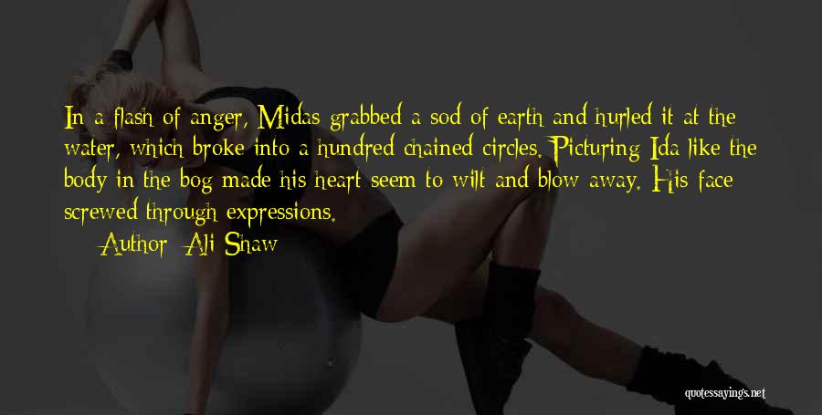 Midas Quotes By Ali Shaw