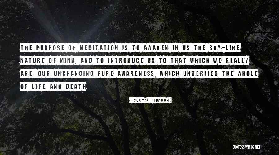 Middags Recept Quotes By Sogyal Rinpoche Middags Recept Quotes By Sogyal Rinpoche