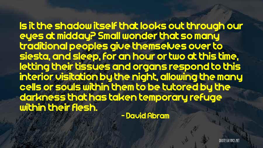 Midday Quotes By David Abram