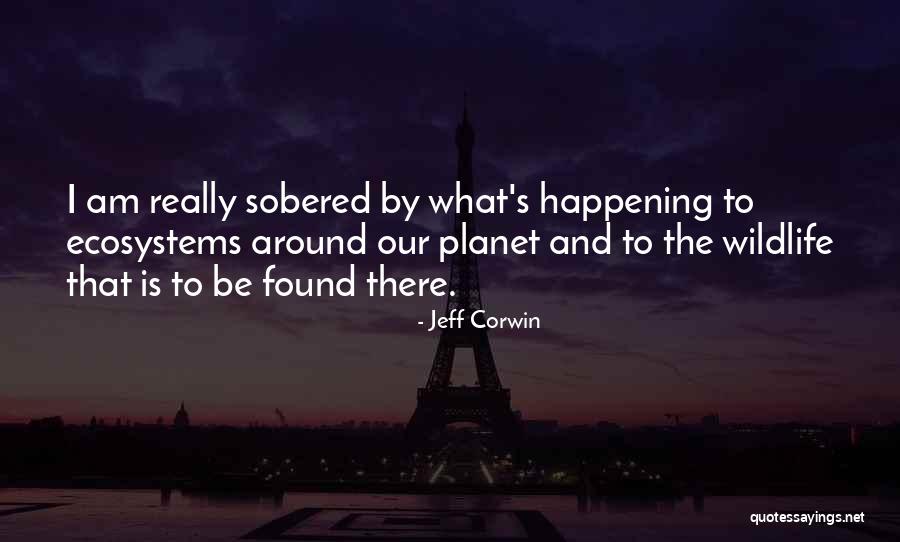 Middendorp Electric Co Quotes By Jeff Corwin Middendorp Electric Co Quotes By Jeff Corwin
