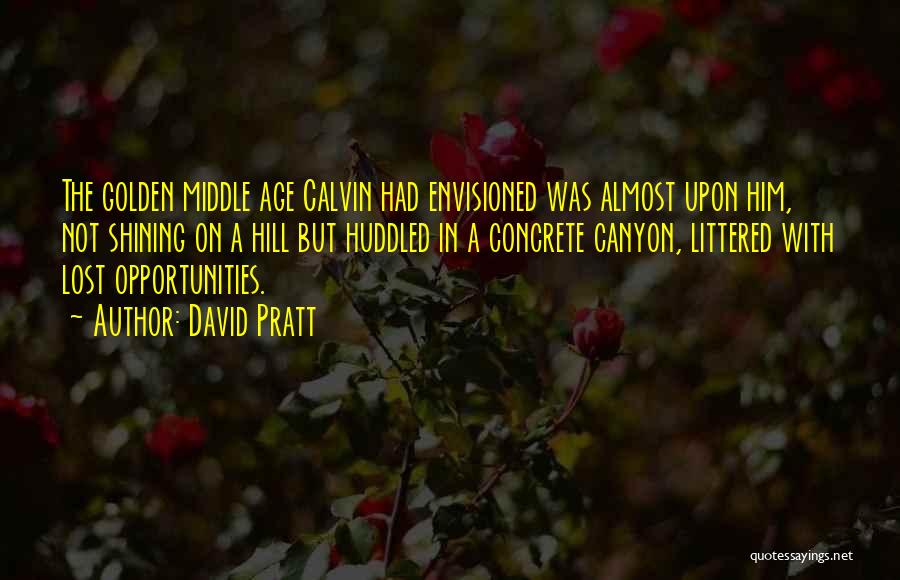 Middle Age Quotes By David Pratt