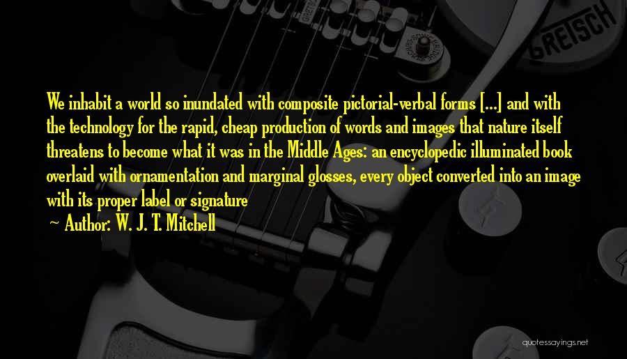 Middle Ages Quotes By W. J. T. Mitchell