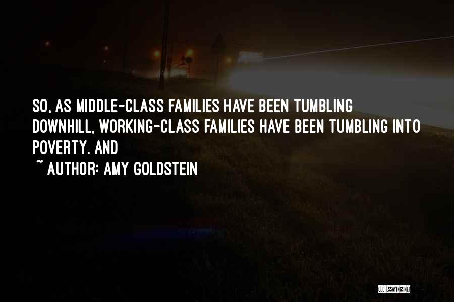 Middle Class Quotes By Amy Goldstein