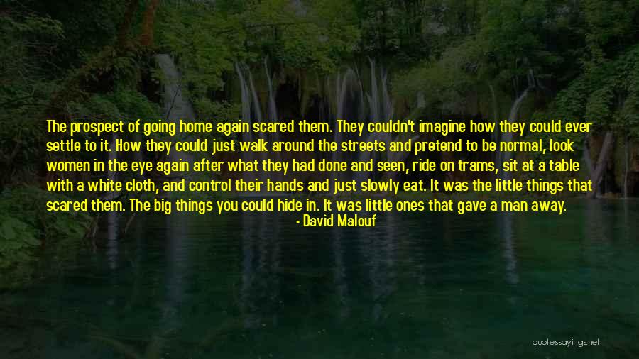 Middle Finger To My Haters Quotes By David Malouf Middle Finger To My Haters Quotes By David Malouf