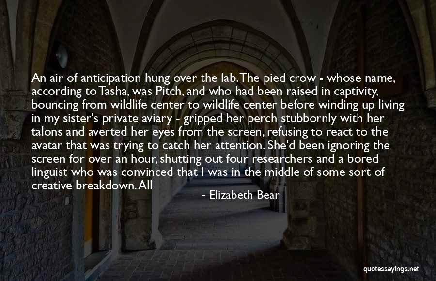 Middle Name In Quotes By Elizabeth Bear Middle Name In Quotes By Elizabeth Bear