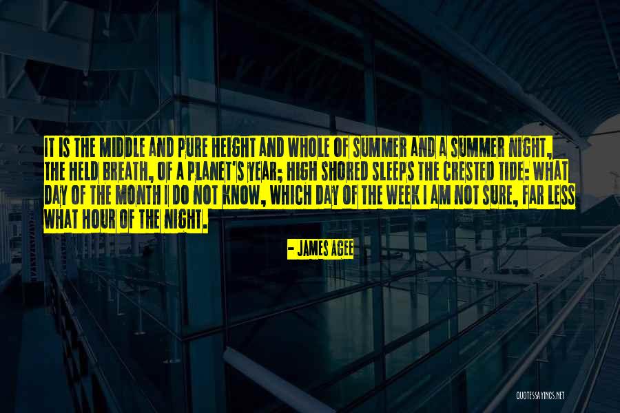 Middle Of Summer Quotes By James Agee Middle Of Summer Quotes By James Agee