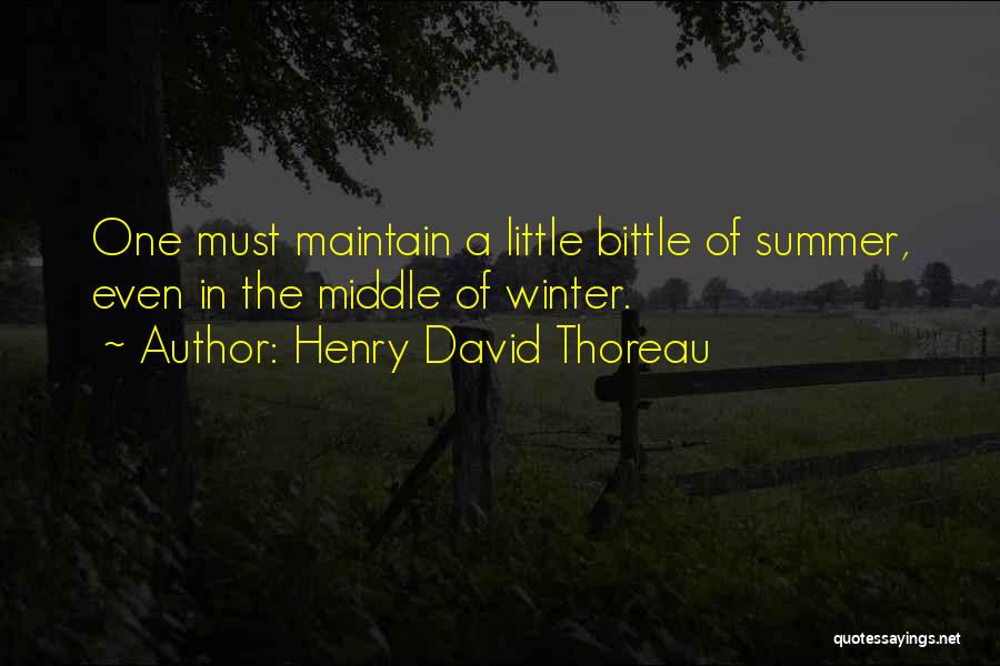 Middle Of Winter Quotes By Henry David Thoreau