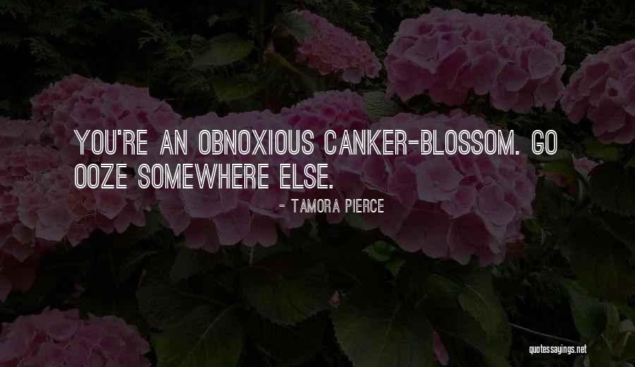 Middlebrow Comedy Quotes By Tamora Pierce Middlebrow Comedy Quotes By Tamora Pierce